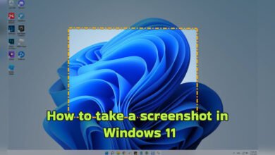 how to get screenshot in pc